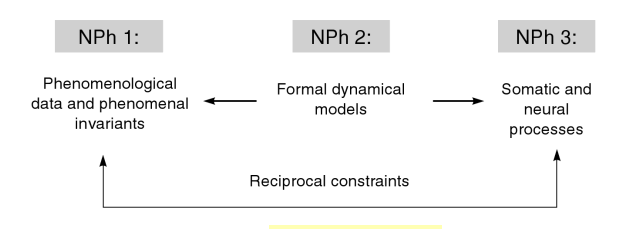Figure 11.2-Neurophenomenology